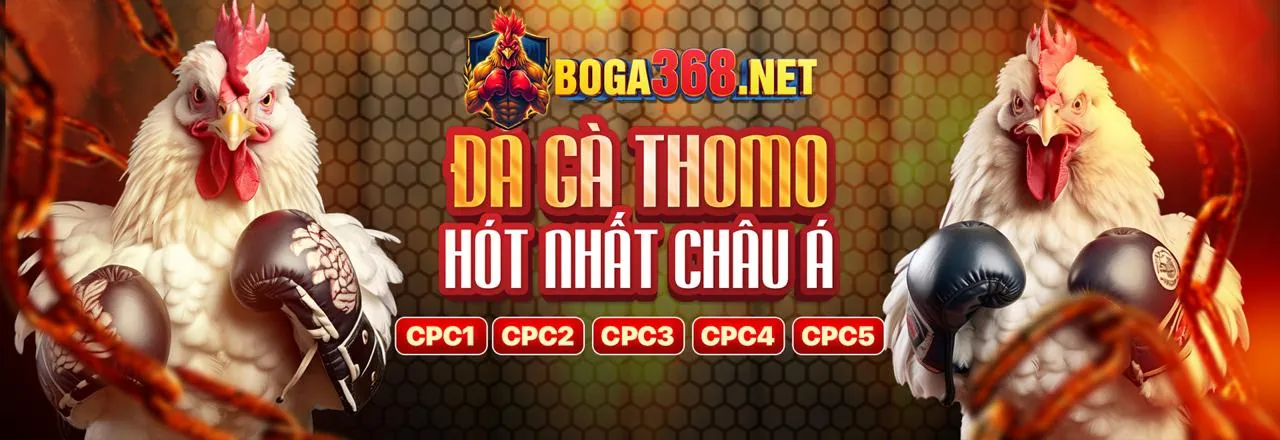 Sòng bạc trực tuyến bot88 trang chủ chính thức